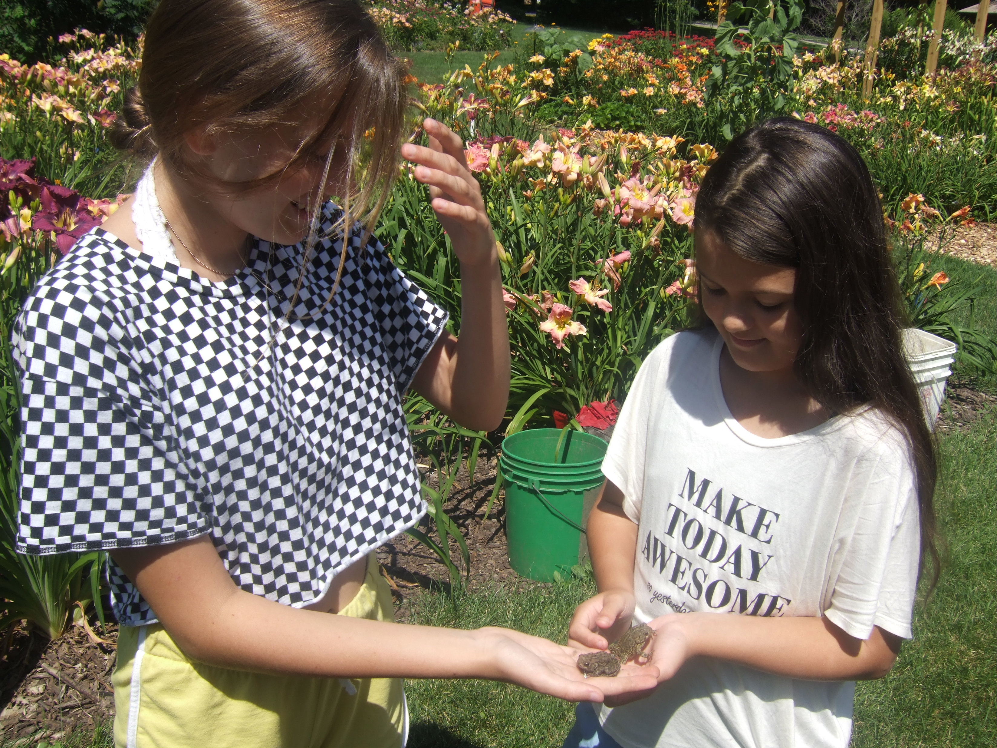 My granddaughters are toad friendly