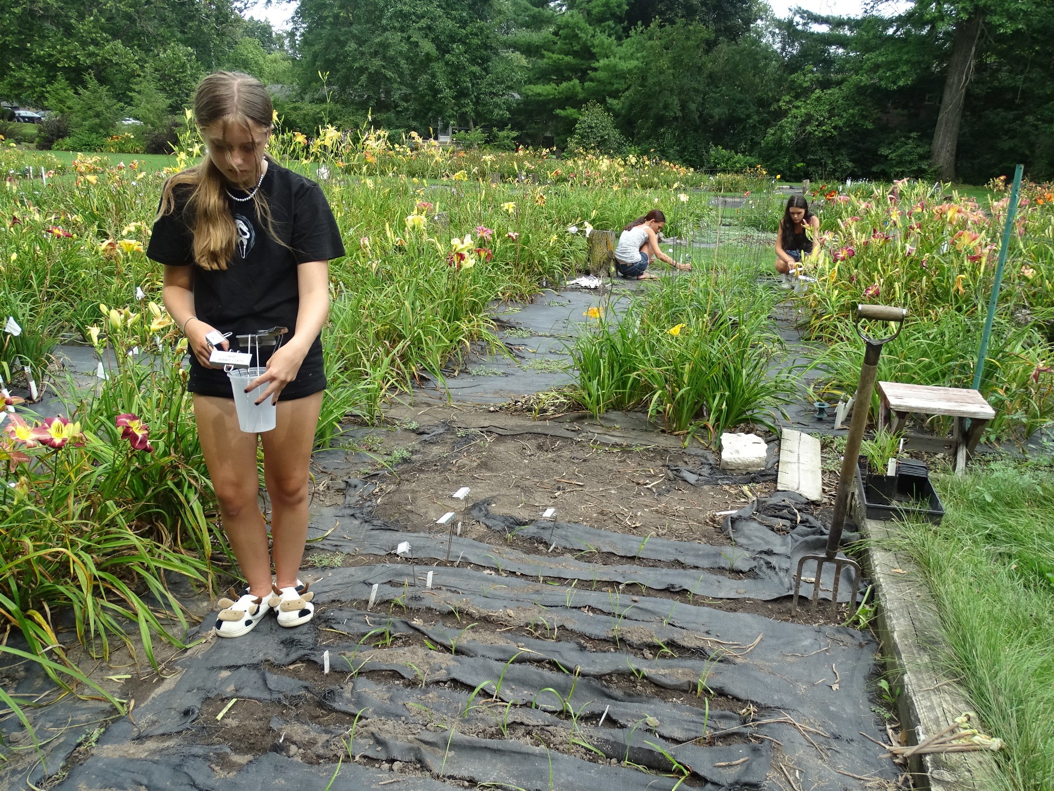 kids planting seedlings