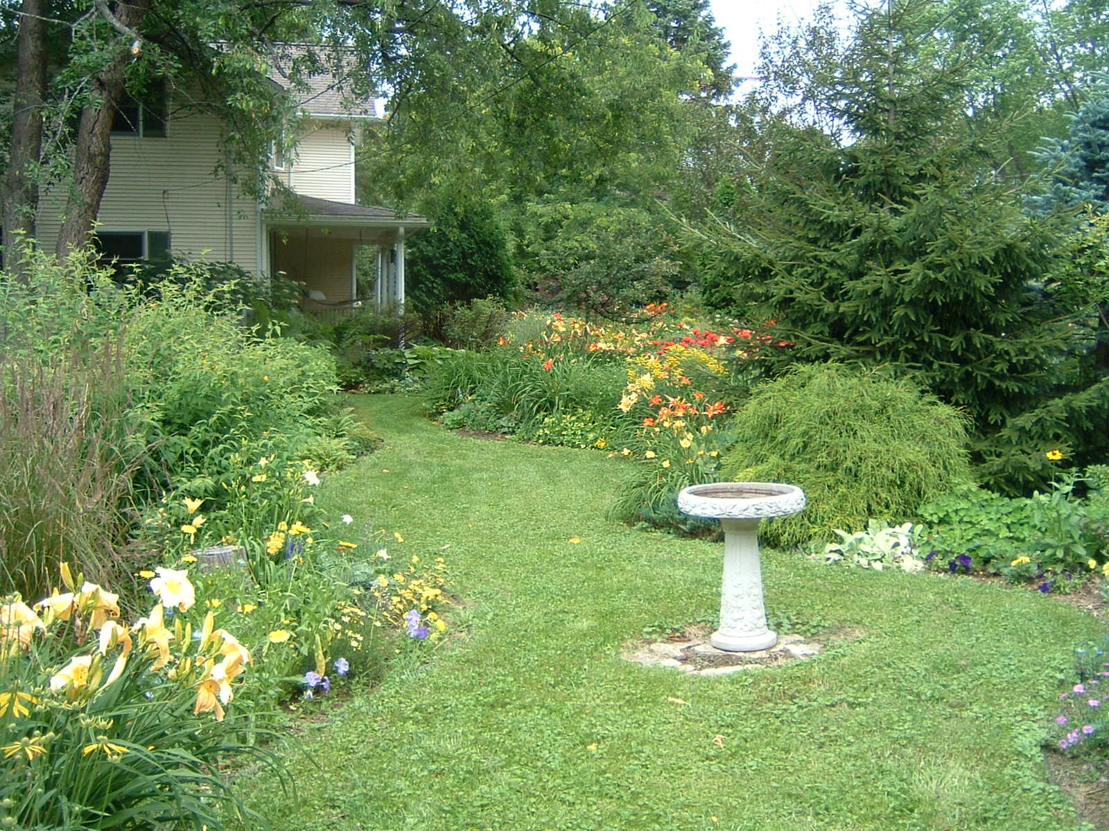 hemerocallis garden